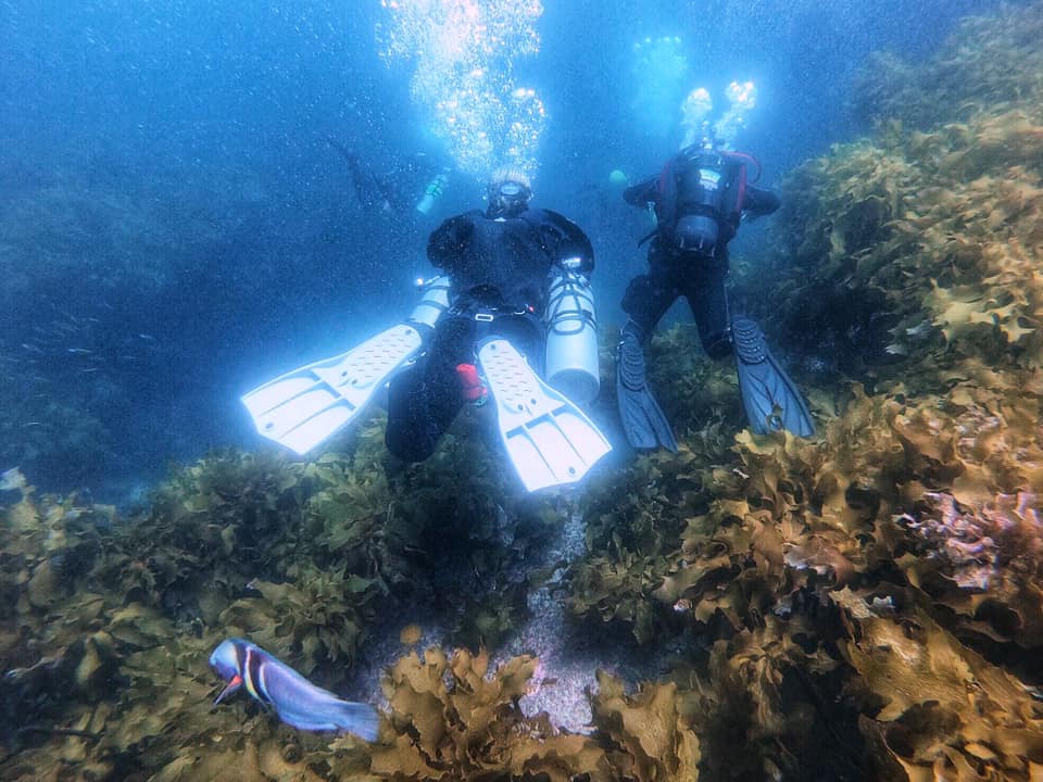 NZ Dive School