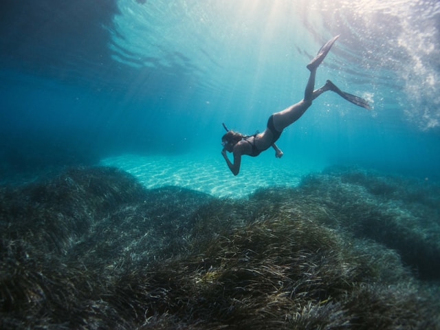 snorkeling