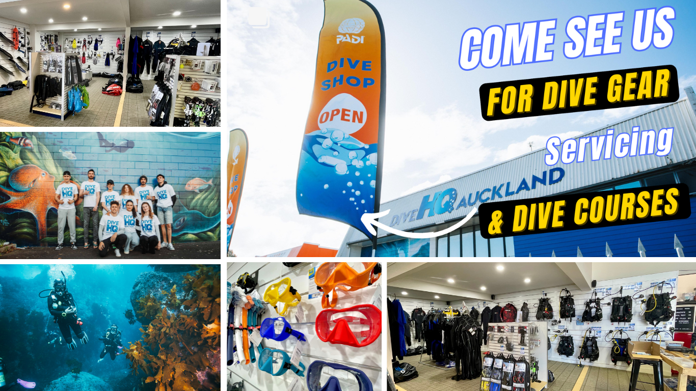 Dive HQ Auckland